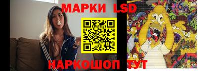 винт Донецк