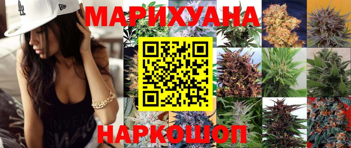 Канабис планчик Надым